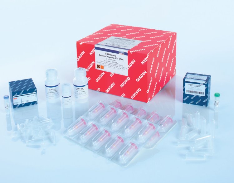 Qiagen 217504 石蜡包埋组织miRNA和总RNA纯化试剂盒