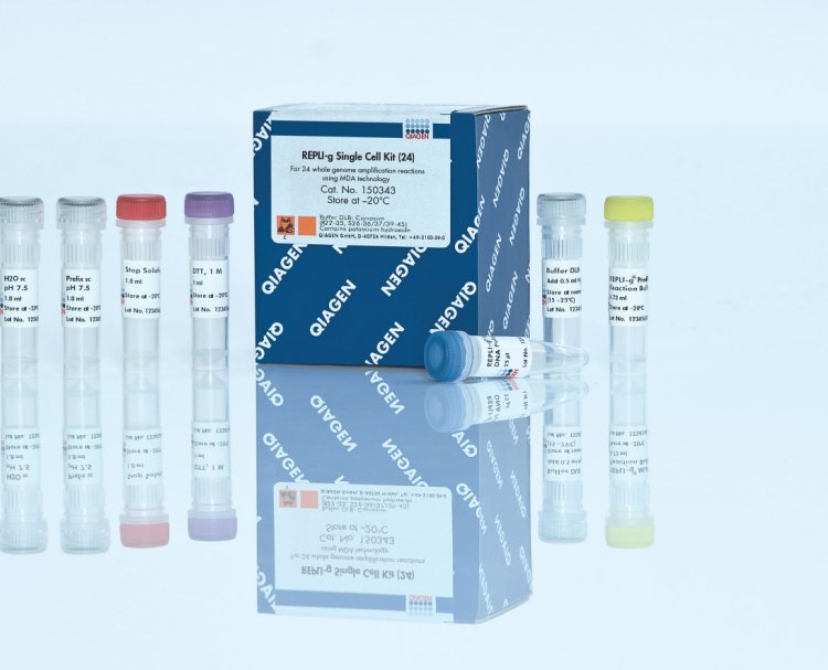 QIAGEN凯杰208154|208156 QuantiNova SYBR Green RT-PCR Kit试剂