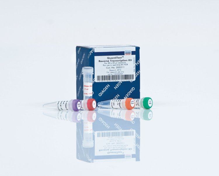 Qiagen 210212 一步法RT-PCR试剂盒QIAGEN OneStep rt-pcr Kit