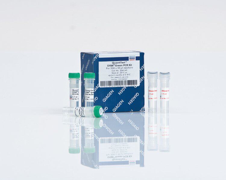 Qiagen凯杰204145荧光定量qPCR试剂盒QuantiTect SYBR Green PCR