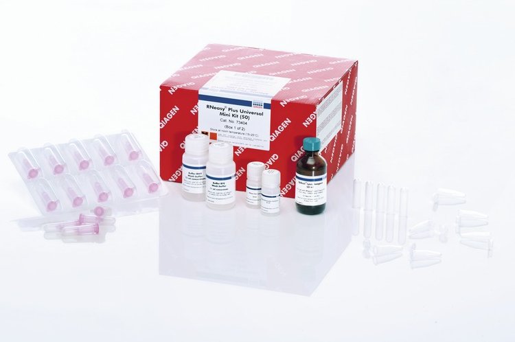 Qiagen73404|通用总RNA提取试剂盒RNeasy Plus Universal Mini Ki