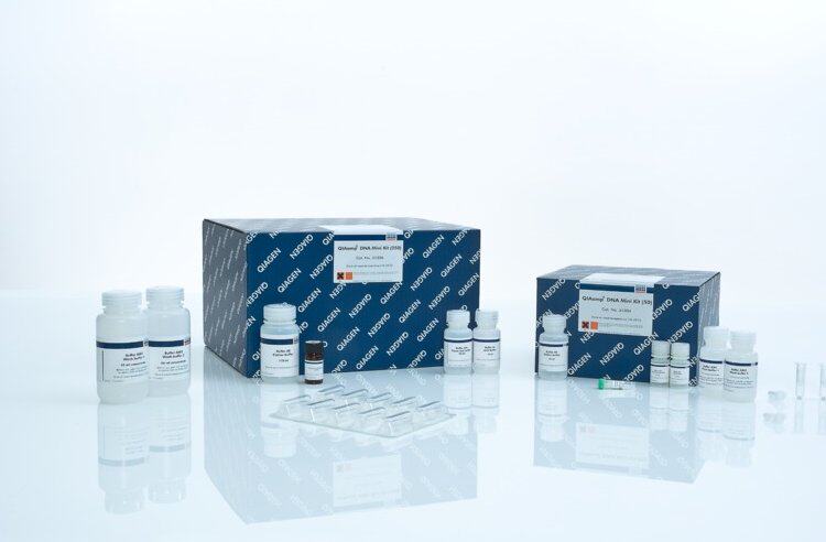 Qiagen12243 12245质粒中提试剂盒QIAfilter Plasmid Midi Kit