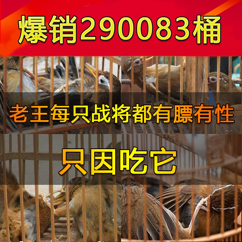 Guizhou Leigong Mountain thrush bird food feed fighting bird food special food Miao village hand-made bird food thrush