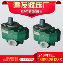CB-FA10-FL CB-FA16-FL CB-FA18-FL CB-FA20 single-stage high-pressure gear pump Y2