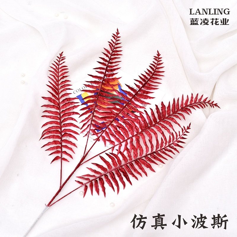 Emulated Persian convulsfern plant false flowering grass green leaves softly packed with green moss background wall decoration