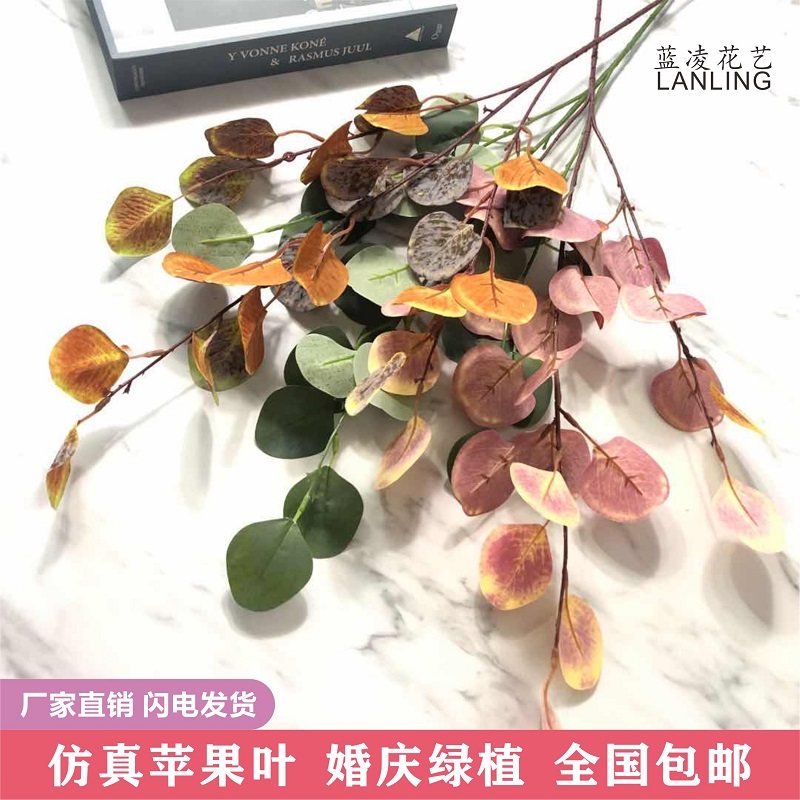 Simulation money leaf imported Eucalyptus apple leaf wedding silk flower wedding flower arrangement hotel soft decoration beauty Chen green planting leaves