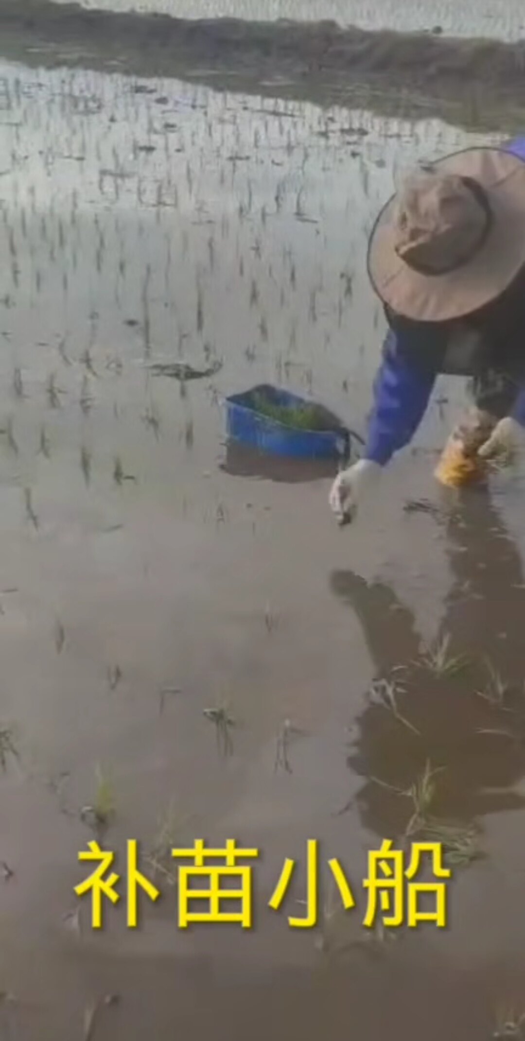 Xinhe gate, seedling field, rice field, farmland, paddy field, seedling boat, beach, snow, children's toy, household plastic boat