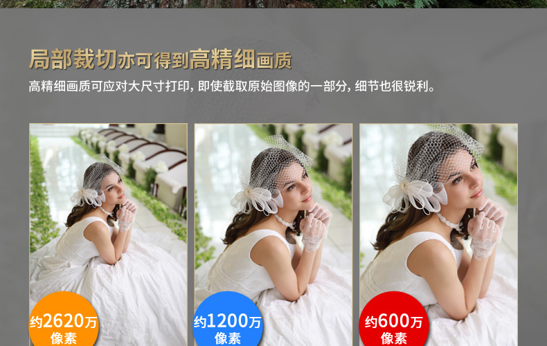Máy ảnh Canon Canon Series DSLR EOS 6D Mark II (24-70mm) Máy 6D2 24-70 F4 - SLR kỹ thuật số chuyên nghiệp máy ảnh cho người mới bắt đầu