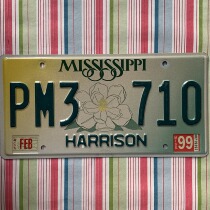 U.S. license plate MississippiMS Mississippi PA3710 Foreign old brand decoration iron Wrangler