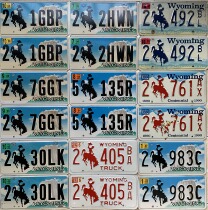 U.S. license plate WY Wyoming State Foreign Antiques Number Letter Iron Sheet Wrangler 10th Anniversary Rear Bar