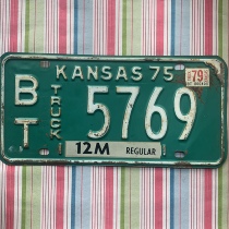 American license plate KansasKS Kansas 5769 State foreign licence sheet Sheet Painting Retro Decorated Pastoral