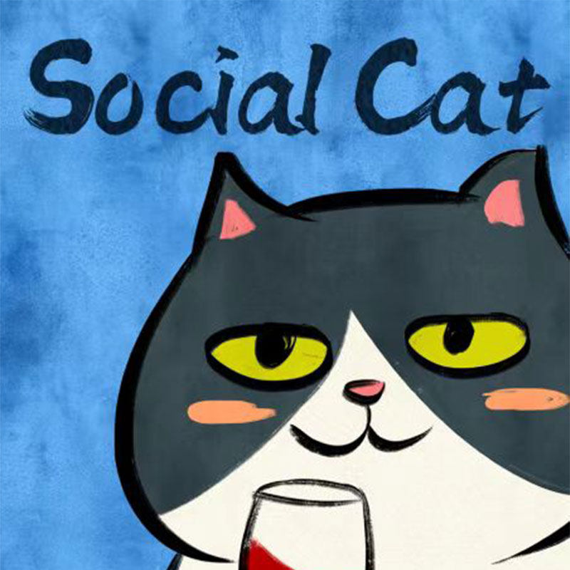 SOCIALCAT 社交猫