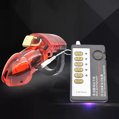 Prisoner bird male electric shock chastity lock CB6000S chastity lock Penis lock supplies anti-masturbation chastity device