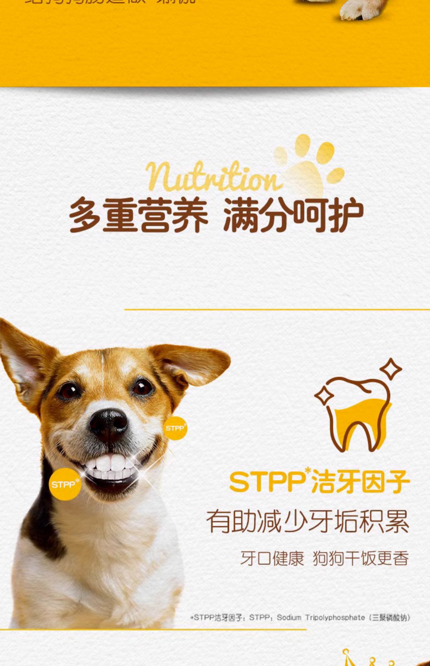 O1CN012VP0kl2Ly8TkpFWoa_!!3009649760.jpg