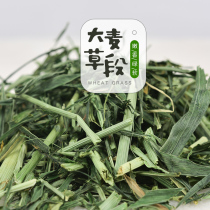 Xingxingwen barley rabbit pasture section guinea pig Dutch pig Rabbit Rabbit torchina 250g more than 0091