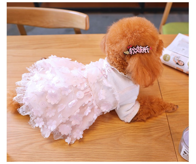 Puppy Dog Quần áo Teddy Bear Nữ Schnauzer Puppy Chó nhỏ Pet Pet Váy Váy Công chúa Nội thất - Quần áo & phụ kiện thú cưng áo tết cho chó