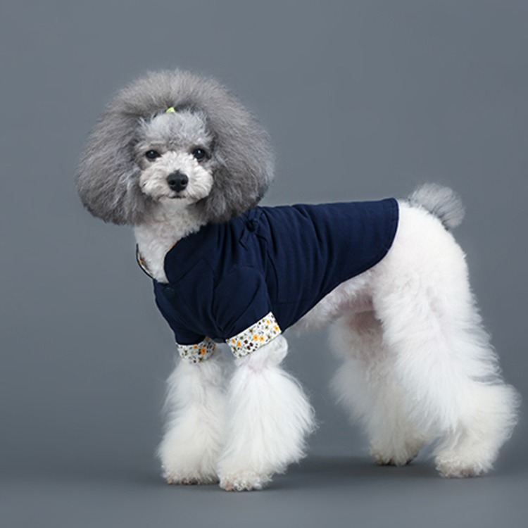 Chó con quần áo chó mùa thu và mùa đông Chihuahua Teddy Bomei schnauzer bilberry cún con váy sườn xám quần áo thú cưng - Quần áo & phụ kiện thú cưng quần áo cho chó phốc sóc