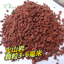 Chunnian red volcanic rock volcanic rock fleshy special granular paving stone