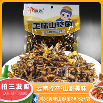 Yunnan Lijiang specialty products delicious Shan bacteria Hongxing oil pine bag ready-to-eat bag mushroom mixed noodle snack