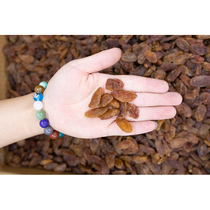 Xinjiang origin red Fragrant Concubine raisins edible super large granules Hami disposable ready-to-eat seedless 500g