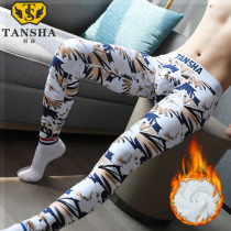 Young mens warm pants mens bottoming underwear plus velvet thick winter and autumn pants cotton underwear tight personality trendy wool pants