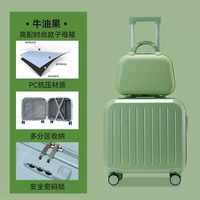 Модель моды с высокой модой [авокадо]