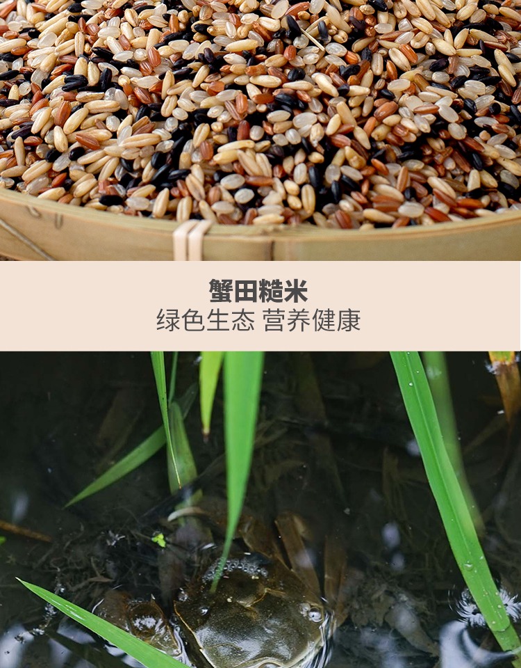 东北四色糙米新米五谷杂粮5斤