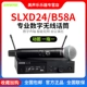 SLXD24/Beta 58a Dynamic Coil One Trag One
