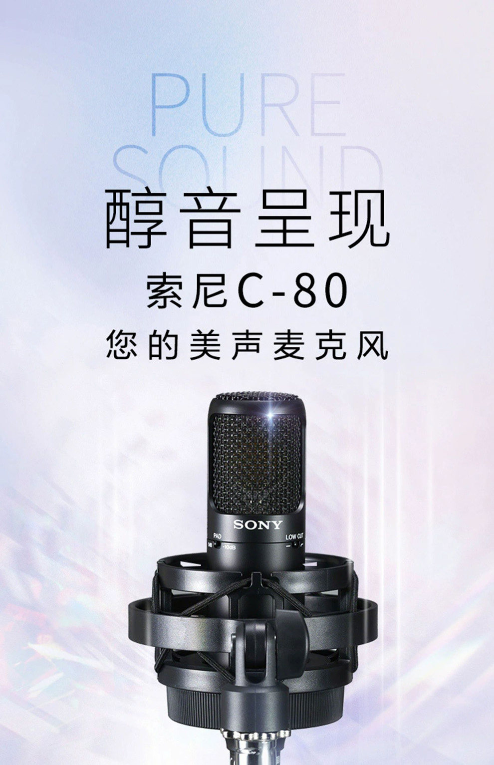 Sony/索尼C-80/100插图