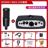 AT2020+Aiken Micu Live Set Set