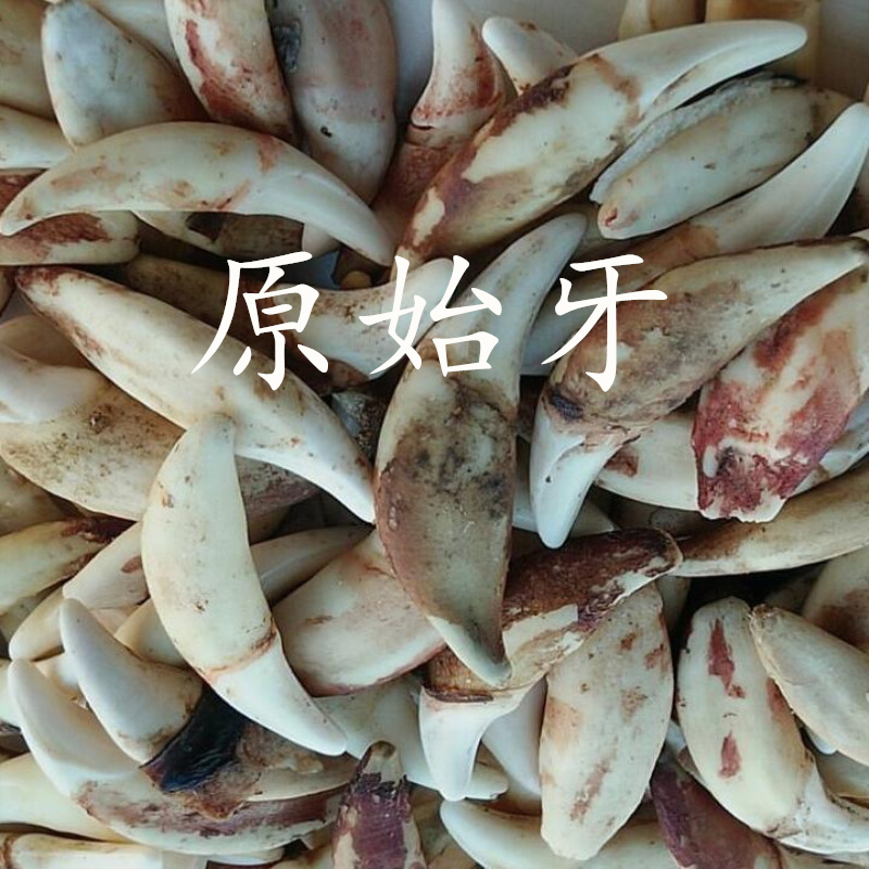 Khai mạc đào gỗ mặt dây chuyền em bé bé ác linh sốc thị trấn mặt dây chuyền phụ nữ mang thai với vòng tay bùa hộ mệnh - Vòng đeo tay Clasp vòng gỗ trầm hương