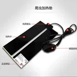 Китайская черепаха маленькая черепаха Живое Существо долголетие черепаха богатство декоративная черепаха вода Золотая нить черепаха Трава трава черепаха Семейство Семейство