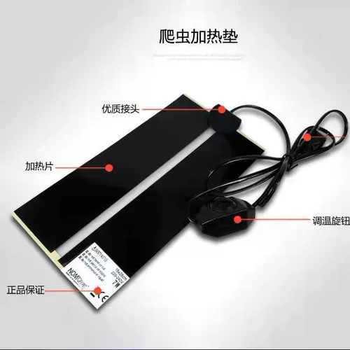 Китайская черепаха маленькая черепаха Живое Существо долголетие черепаха богатство декоративная черепаха вода Золотая нить черепаха Трава трава черепаха Семейство Семейство