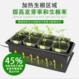 Растения нагревательной панель цветочной травы