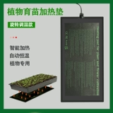 Растения нагревательной панель цветочной травы