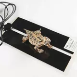 Китайская черепаха маленькая черепаха Живое Существо долголетие черепаха богатство декоративная черепаха вода Золотая нить черепаха Трава трава черепаха Семейство Семейство