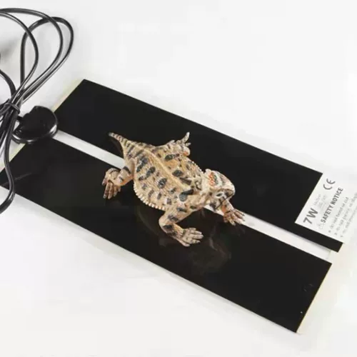 Китайская черепаха маленькая черепаха Живое Существо долголетие черепаха богатство декоративная черепаха вода Золотая нить черепаха Трава трава черепаха Семейство Семейство