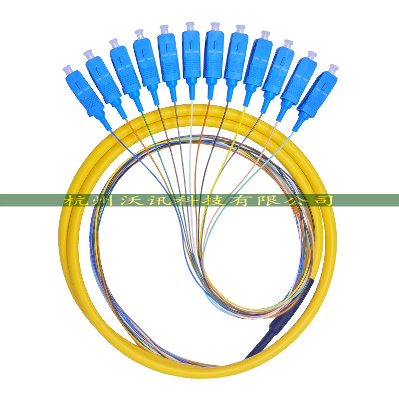 12-core bundled pigtail single-mode SC square head