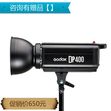 Godox DP400W single lamp holder studio flash studio equipment