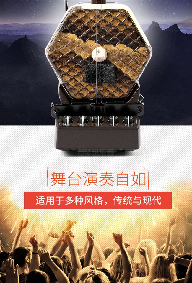 -Roland 09ad erhu điện âm / giai đoạn ghi âm đàn nhị nhạc cụ quốc gia kết nối trực tiếp âm thanh - Nhạc cụ dân tộc sáo huân