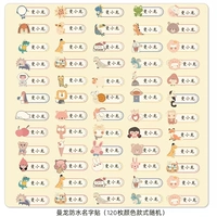 120 водонепроницаемые наклейки имен-название примечания