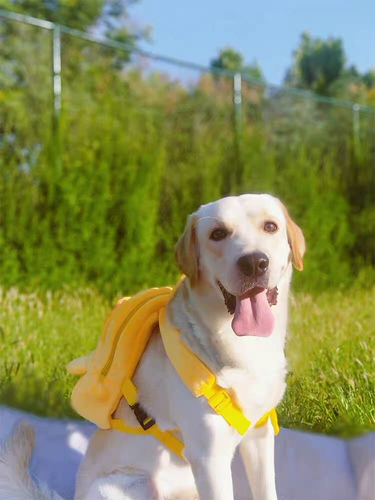 Школьный рюкзак, мультяшный картхолдер для выхода на улицу, популярно в интернете