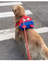 Обновить Человек -паук