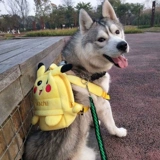 Школьный рюкзак, мультяшный картхолдер для выхода на улицу, популярно в интернете