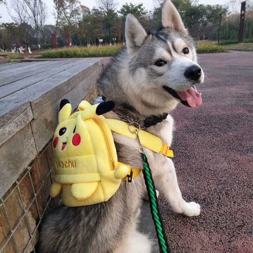 Школьный рюкзак, мультяшный картхолдер для выхода на улицу, популярно в интернете