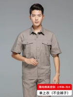 Серый верблюд с короткими рукавами.