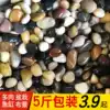 Goose natural pebble rain stone rough stone fish tank landscaping flower pot planting small stone multicolored stone Goose soft stone color stone