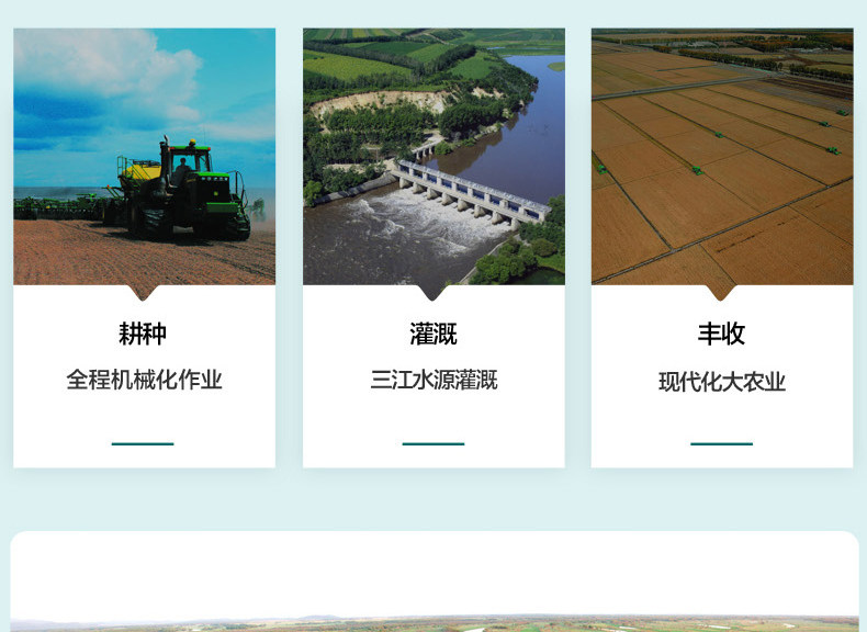 Beida Desert Long Grain Rice_04.jpg