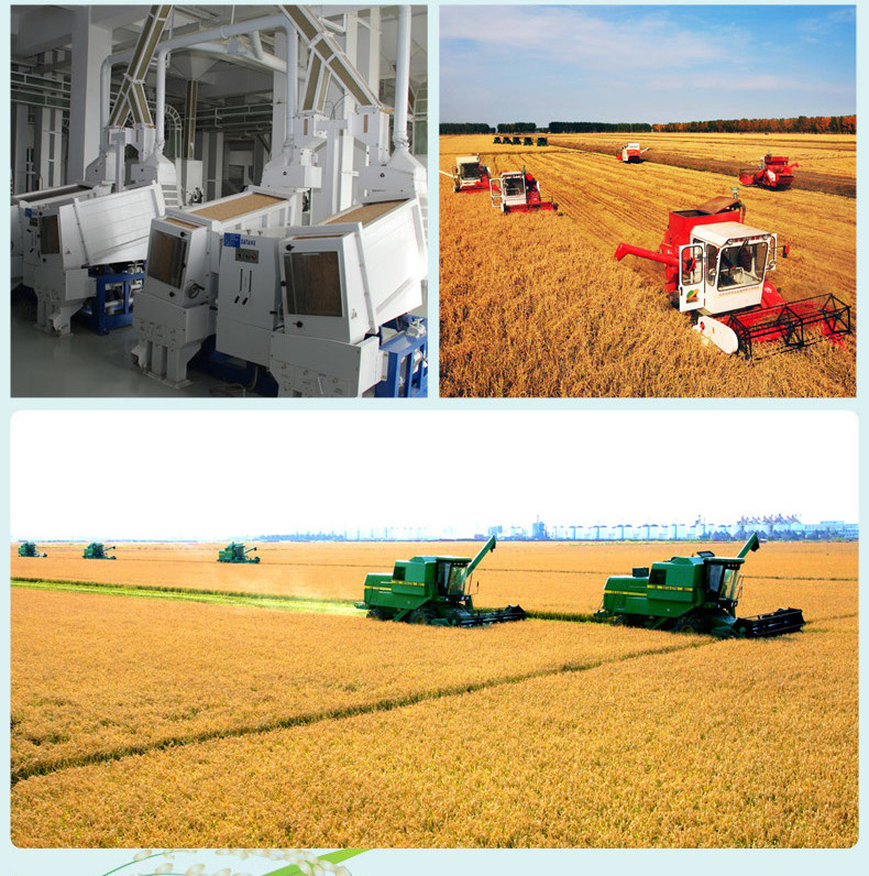 Beida Desert Long Grain Rice_12.jpg