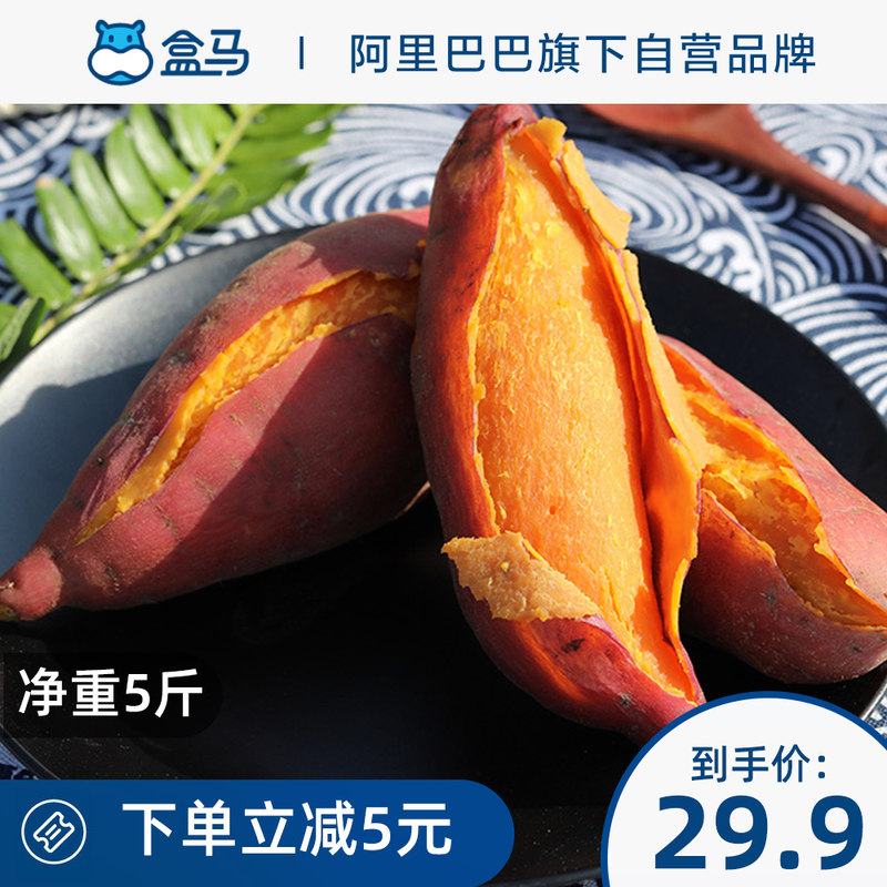 Box horse fresh Yunxi sweet potato Net weight 5 kg Fresh sweet potato Sweet potato Seasonal vegetables Fresh sweet potato Healthy grains